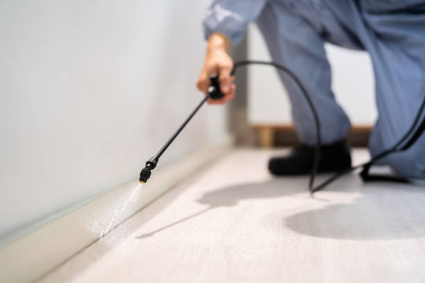 Licensed Mosquito Control service in The Crossings, FL - Show Me Pest Control