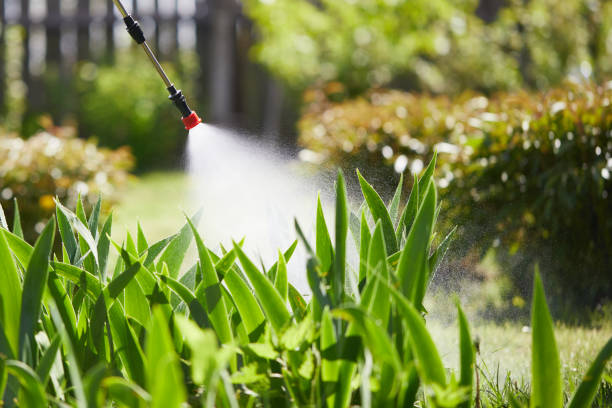24/7 Emergency Mosquito Control experts in The Crossings, FL