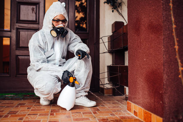 Reliable Mosquito Control contractor in The Crossings, FL by Show Me Pest Control